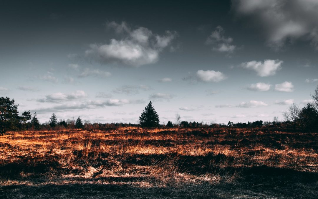 Muck Fires, Censorship, and Crazy Times